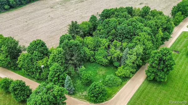 5227 Old State Road, North Branch, MI 48461