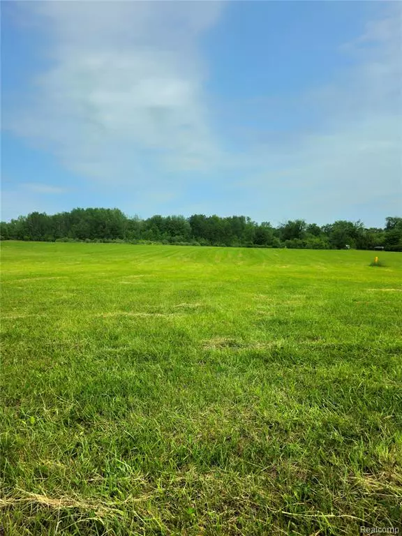 Mount Pleasant, MI 48858,3593 Genuine