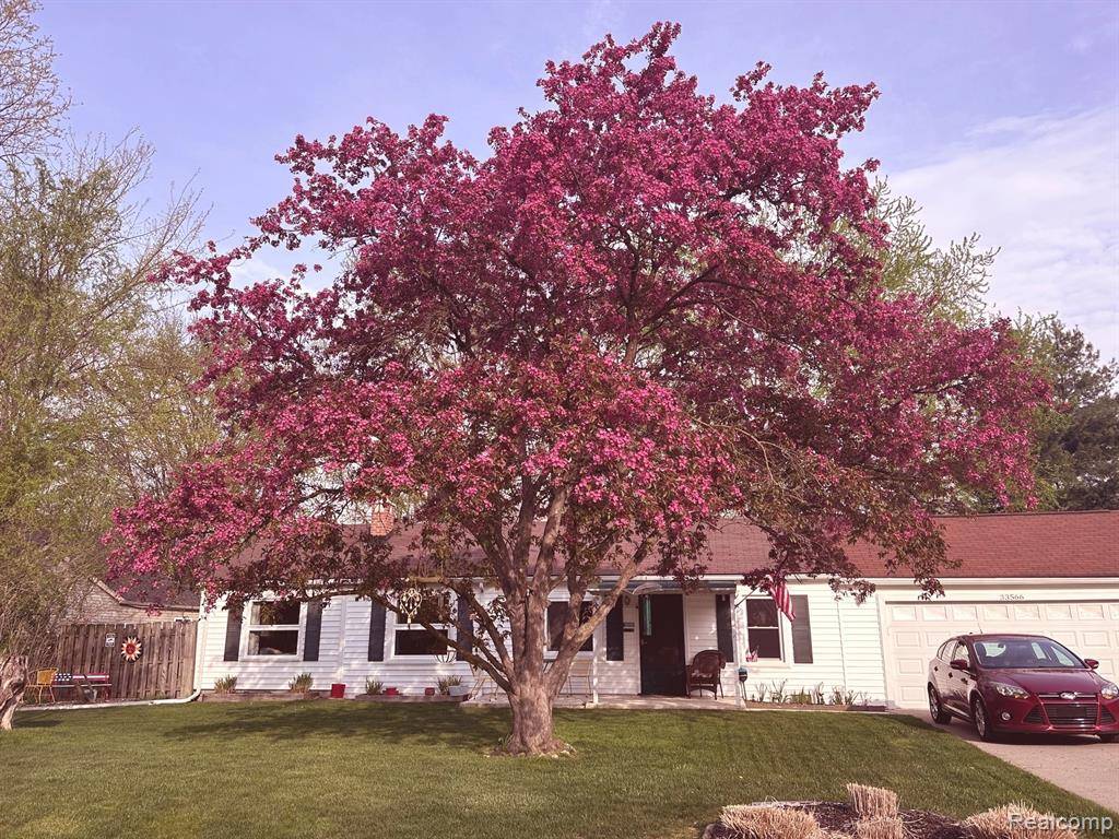 33566 Rhonswood Street, Farmington Hills, MI 48335