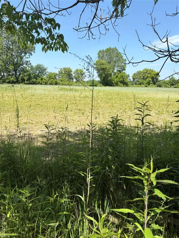 Davison, MI 48423,5091 N Irish Road