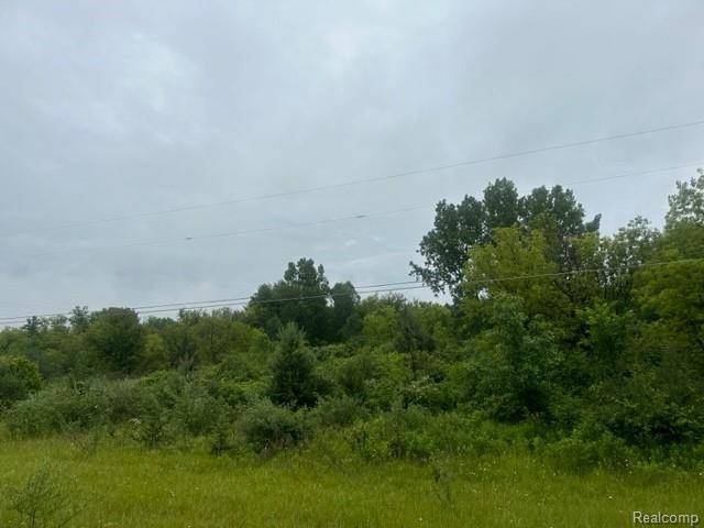 Davison, MI 48423,10.63(+/-) Acres Lapeer Road