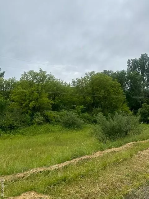 Davison, MI 48423,10.63(+/-) Acres Lapeer Road