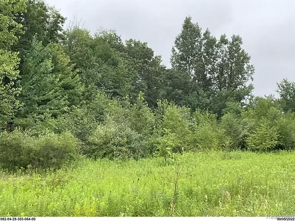 Pleasant Lake, MI 49272,0 ERIKA Drive