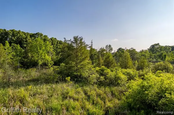 Howell, MI 48843,4433 Brighton Parcel B Road