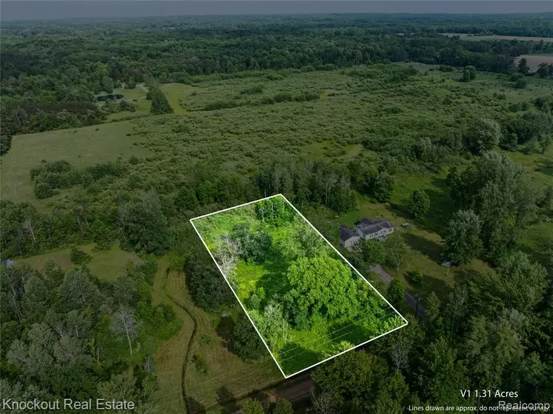 #0078 V/L Natures Nest Road, Vassar, MI 48768