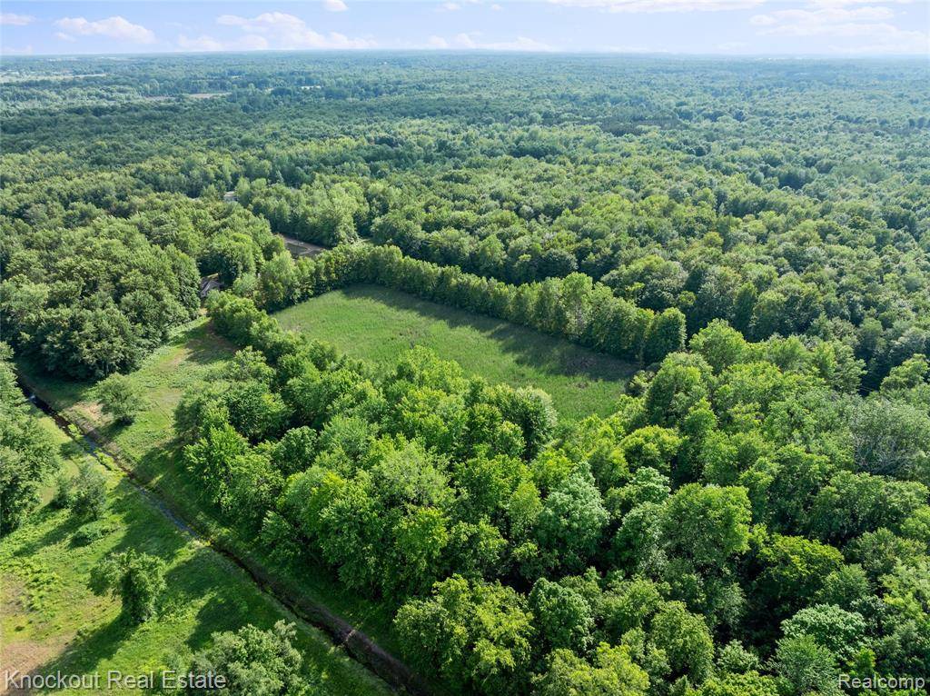 Vassar, MI 48768,#0091 V/L Nature's Trail Road