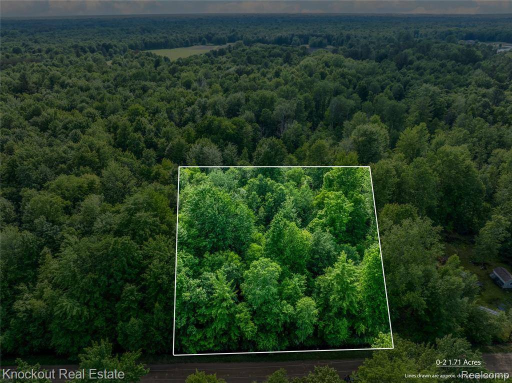 #0047 V/L Maplegrove Lane, Vassar, MI 48768