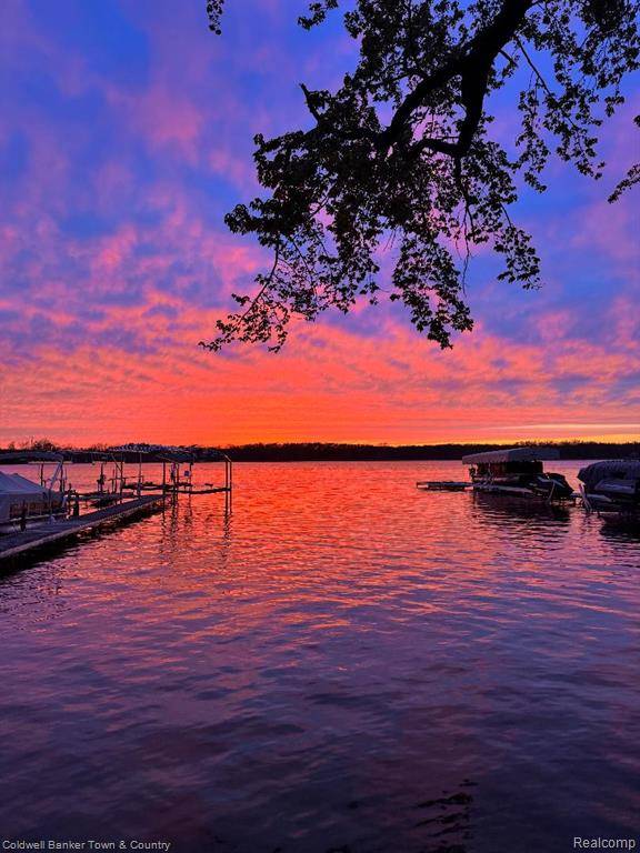 11729 Algonquin Drive, Pinckney, MI 48169