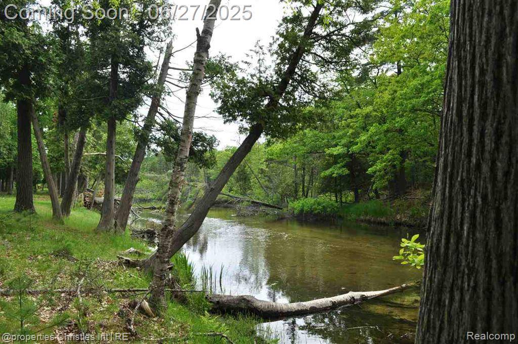 Glen Arbor, MI 49636,3 Millside