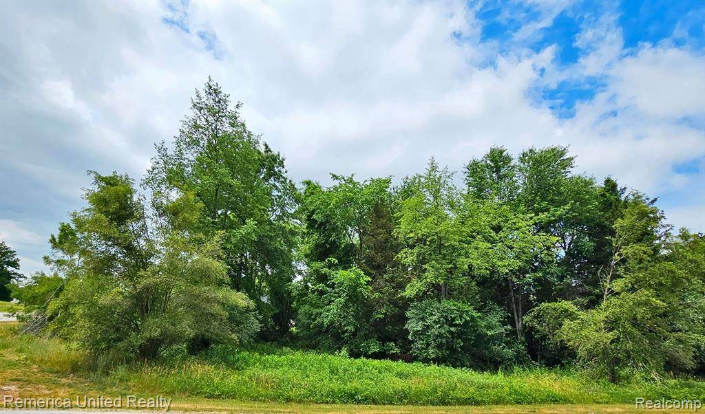 South Lyon, MI 48178,10536 Oak Shore Drive