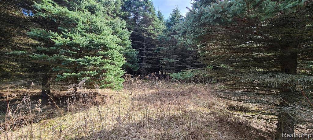 Lapeer, MI 48446,VL Millville Road
