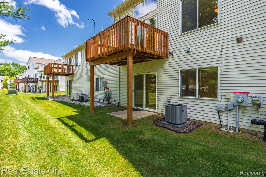 Howell, MI 48843,480 Hosta