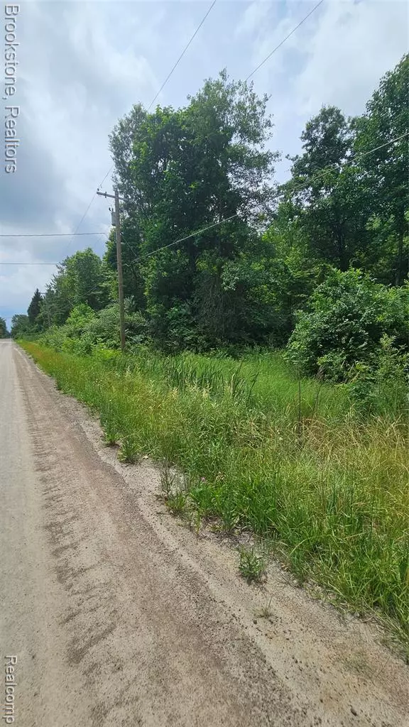 Willis, MI 48191,0 Bunton Road