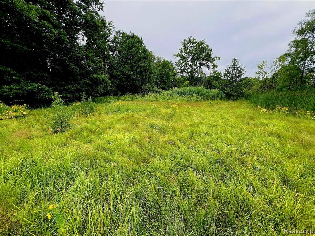 West Bloomfield, MI 48324,Lot 94 Hiller Road