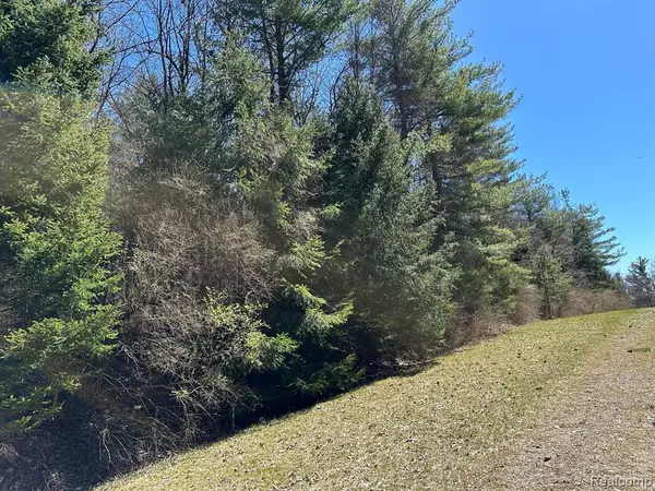 Leonard, MI 48367,4.23 Acres VL - KNIGHTS BRIDGE Road