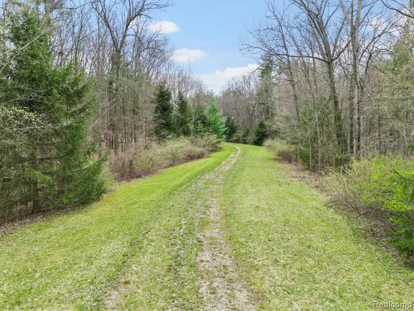 Leonard, MI 48367,4.23 Acres VL - KNIGHTS BRIDGE Road