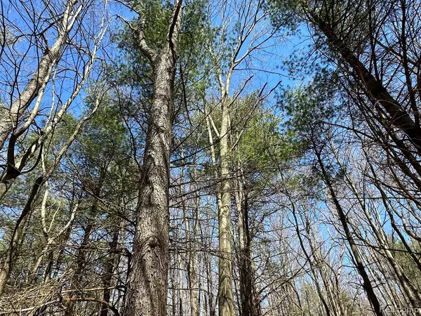 2.02 Acres VL - KNIGHTS BRIDGE Road, Leonard, MI 48367