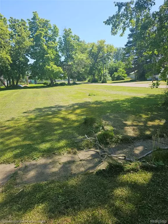 Clifford, MI 48727,00 Washington Street