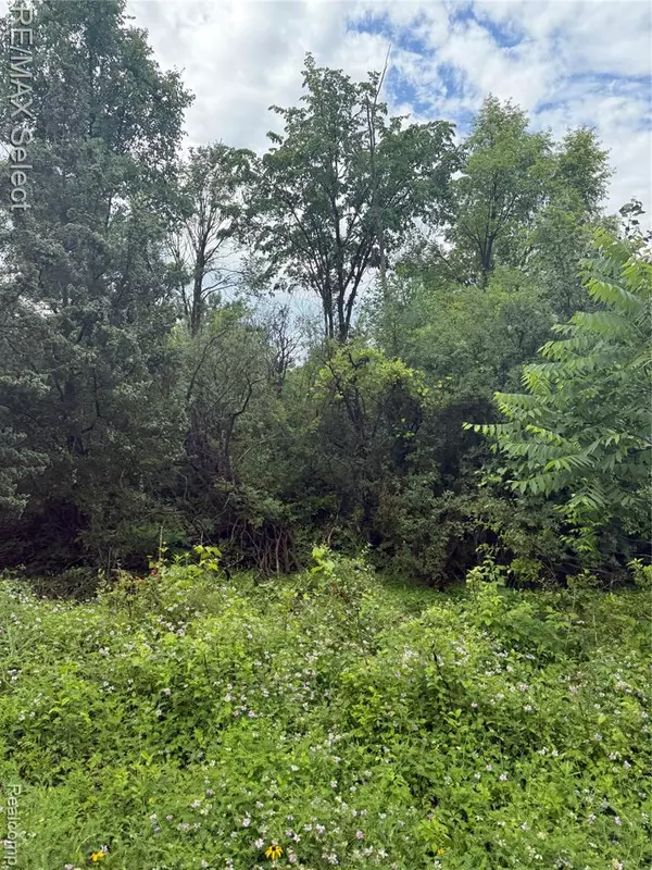 Fenton, MI 48430,0 W Caroline Street