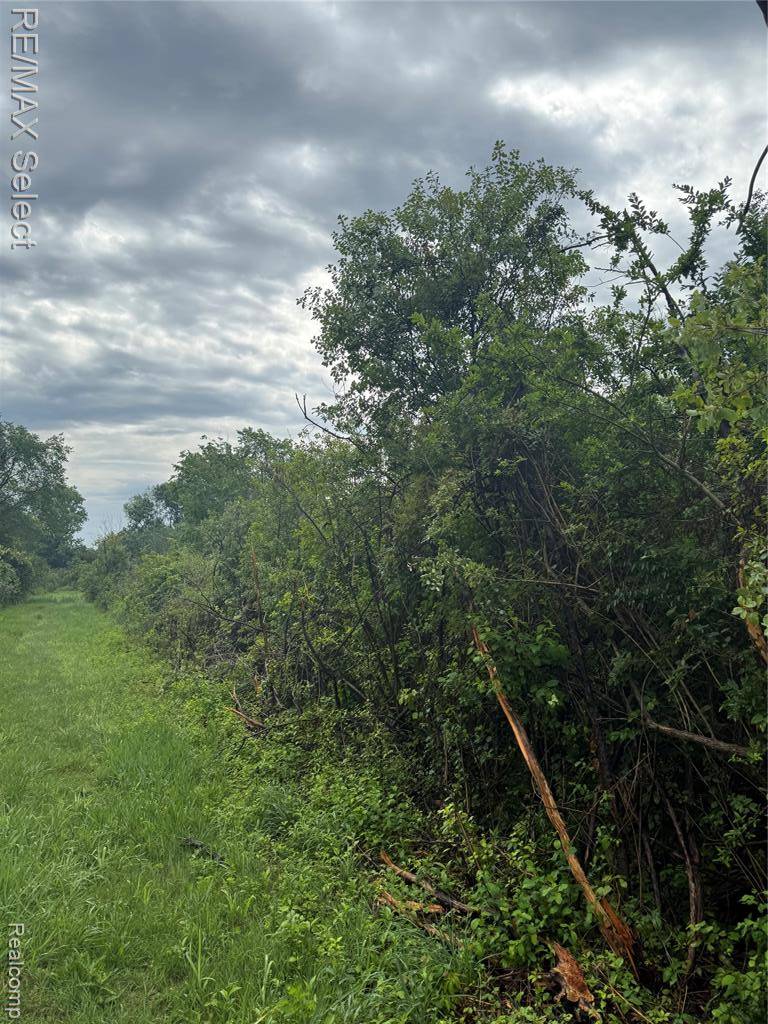 Fenton, MI 48430,0 W Caroline Street