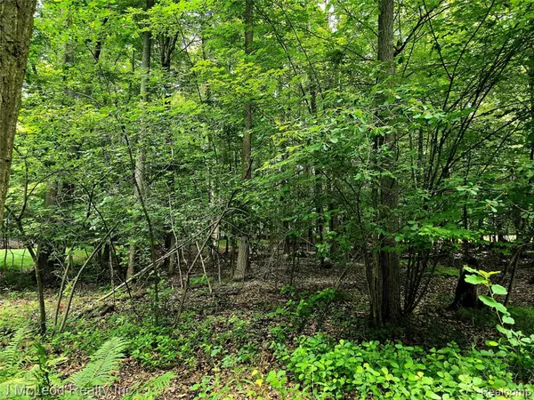29240 S Aldrich Road, Pickford, MI 49774
