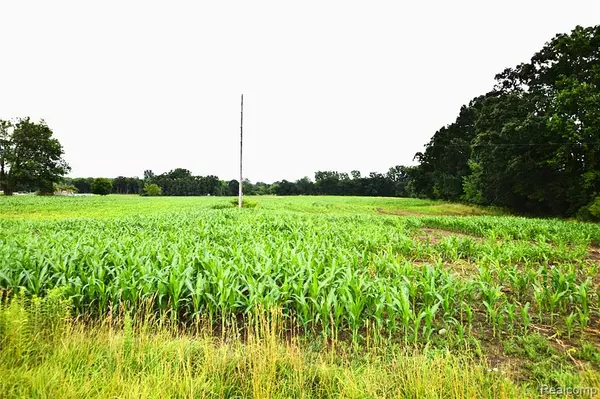 Otisville, MI 48463,V/L N Irish Road