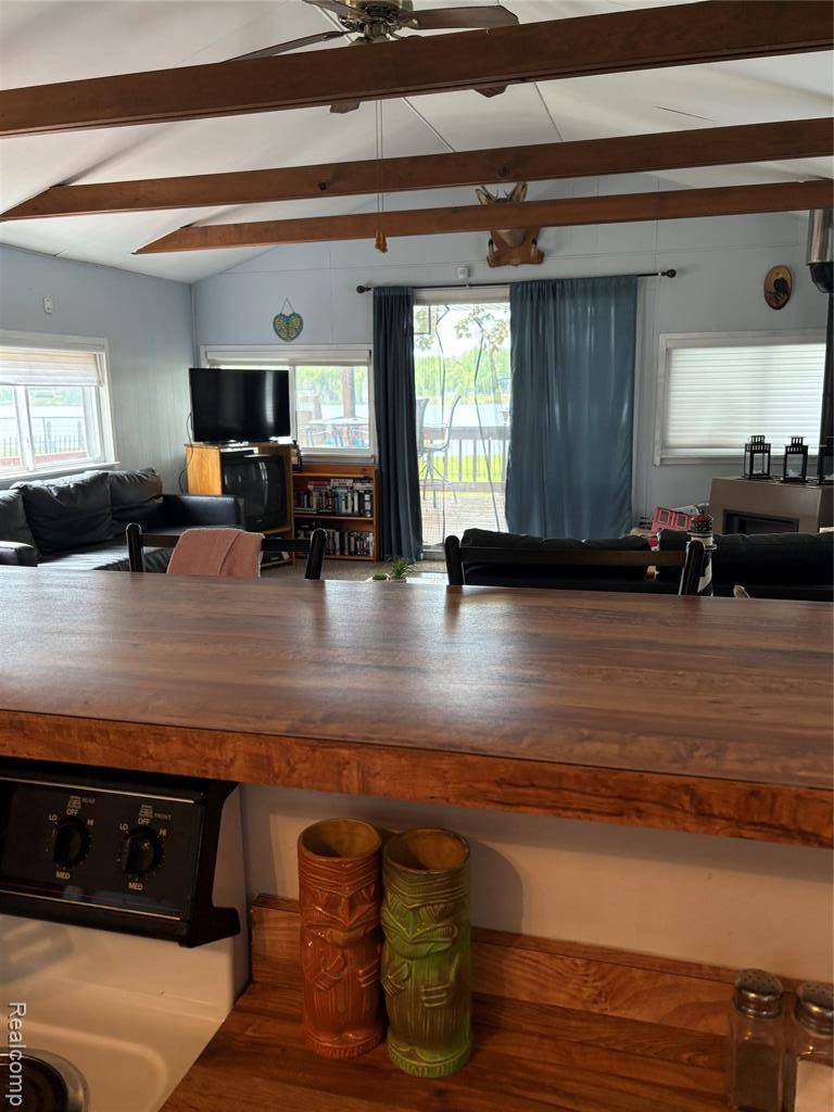 4154 Lakeview Drive, Mayville Vlg, MI 48744