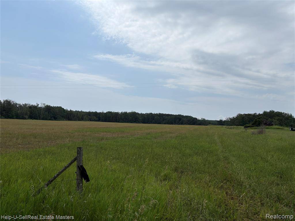 9999 W. Hubert rd Road, Hubbard Lake, MI 49747
