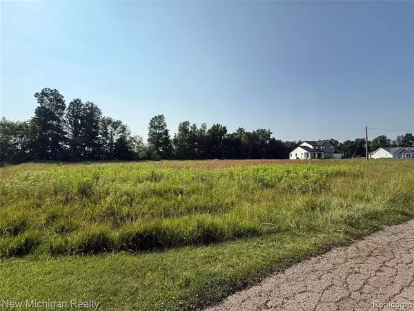 New Lothrop, MI 48460,9807 Oak Ridge Road