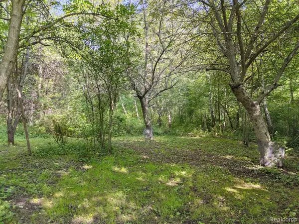Davison, MI 48423,2374 N Vassar