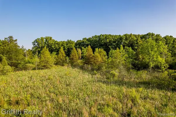 Howell, MI 48843,4433 Brighton Parcel C Road