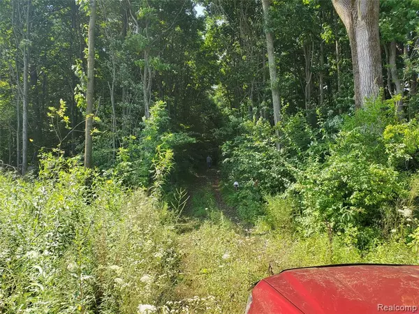 Carleton, MI 48117,00000 Colf Rd Road