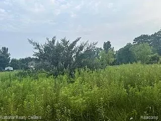 Webberville, MI 48892,00 Stow Road