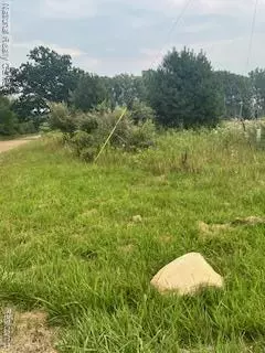 Webberville, MI 48892,00 Stow Road