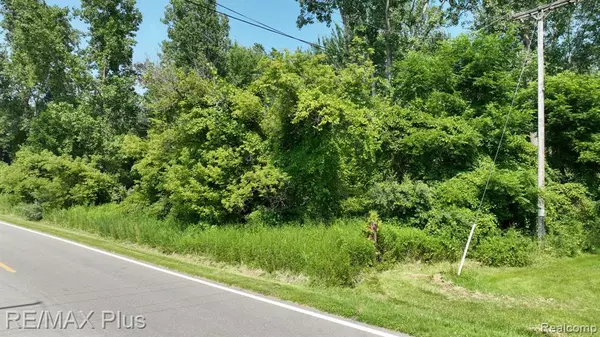 Dryden, MI 48428,0010 Mill N Road