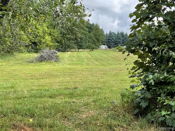 Otter Lake, MI 48464,3958 Briggs Road