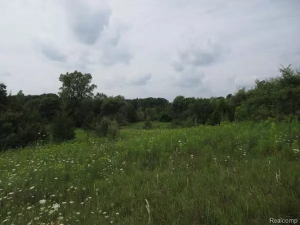 Fenton, MI 48430,00 Hickory Ridge Road