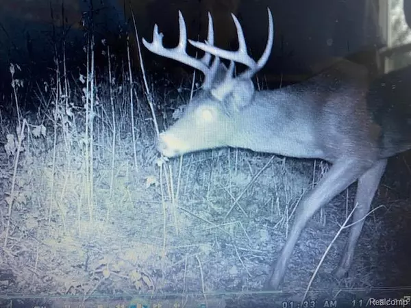 Capac, MI 48014,00 Capac Road