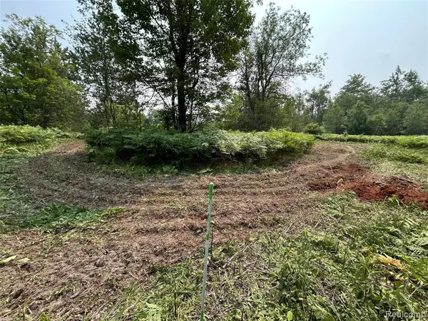 Elmira, MI 49730,6658 Brookfield Court