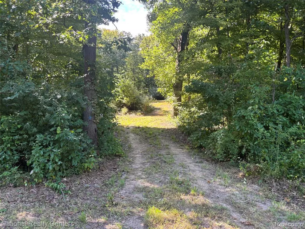 Grass Lake, MI 49240,0 Fry Dr Fry Drive