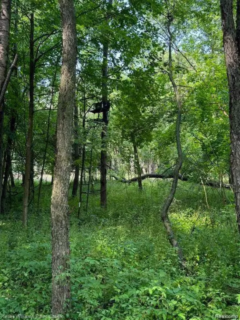 Attica, MI 48412,0000 Vik-Mar Lane