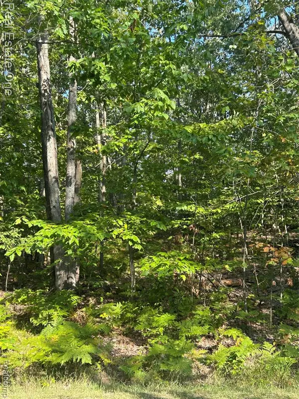 MI,LOT 1860 Gray Hawk Court