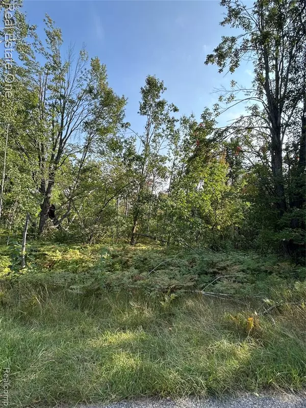 Gaylord, MI,LOTS 1818 and 1819 Falcon Way