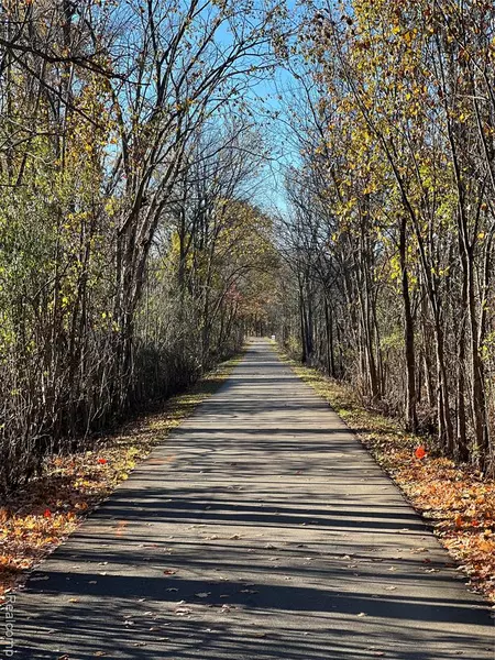 956 N Mill Street, South Lyon, MI 48178