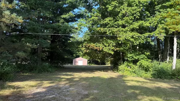 V/L McLain McLain Road,  Clyde,  MI 48049