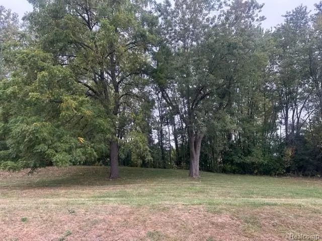 Lot A Chapin Street, Grand Blanc, MI 48507