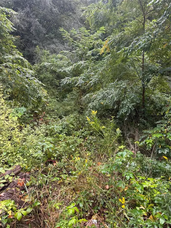 Lapeer, MI 48446,65 S Elm Grove Road