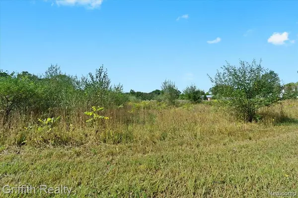 Chelsea, MI 48118,9800 Beeman Road