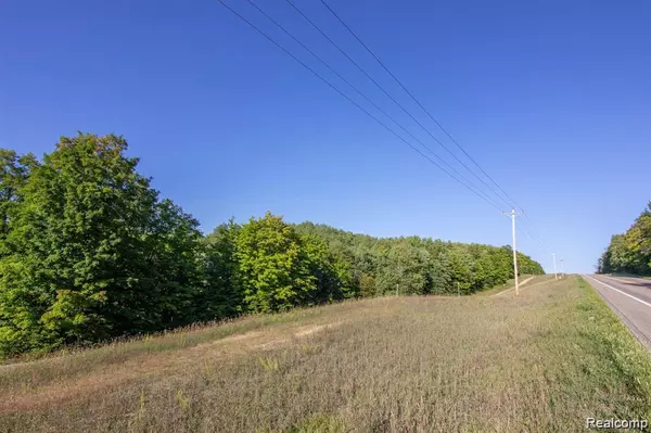 Gaylord, MI 49735,00 W Mancelona Road