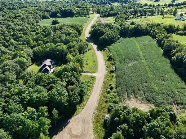 Dryden, MI 48428,Parcel 9 Sycamore St